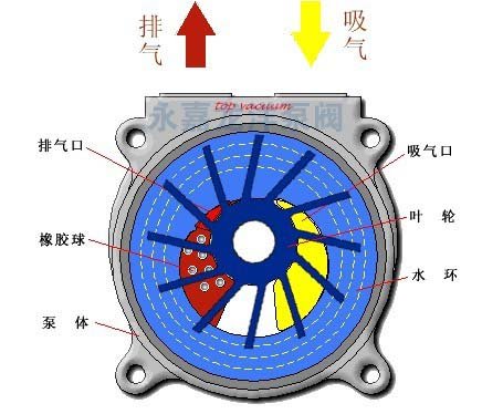 2BV型水环式真空泵的工作原理