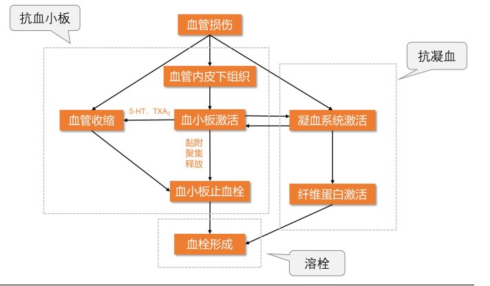 血栓形成机制及抗血栓用药分类