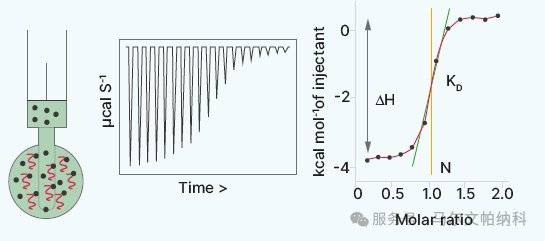 微信图片_20251115085021.png