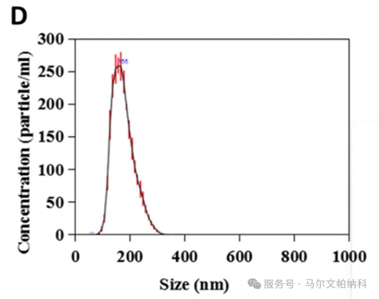 113142_449655_jsue_jswz.png MOF7.png