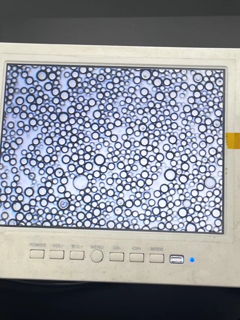 海孵醫療 微球 (2).jpg